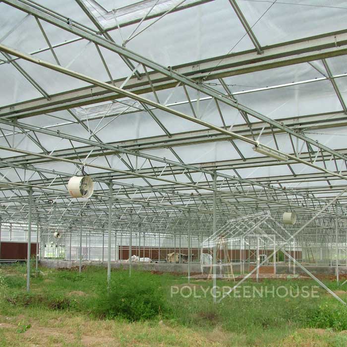 Large polycarbonate greenhouse tunnel designed for agricultural use, shown in product display format with clear structure and roofing