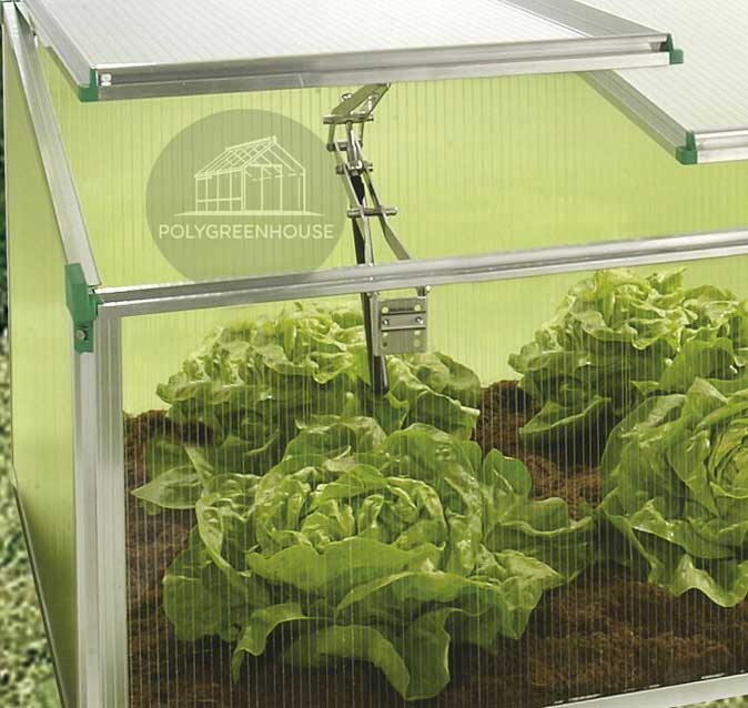 Close-up of the stainless steel and aluminum alloy opening on a mini greenhouse planter box, showing the sturdy frame detail with vegetables growing inside.