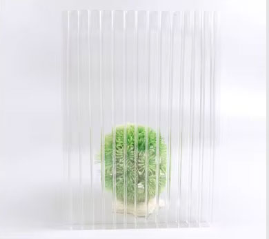 une plante derrière la feuille creuse de polycarbonate antibuée de 8 mm, montrant la transparence de la feuille de polycarbonate